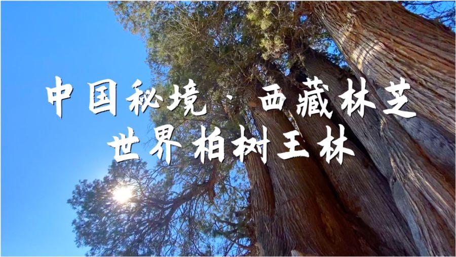1560有多少个因数?-专业问答网站